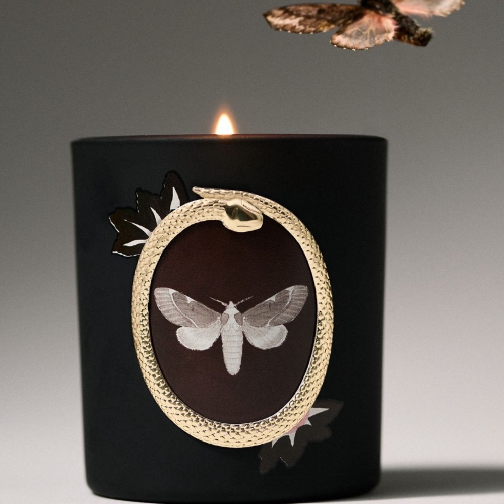 Catherine Martin Enchanted Black‎ and Gold Moth Candle